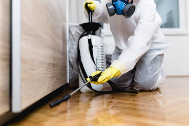 Best Termite Control Services  in Lordstown, OH