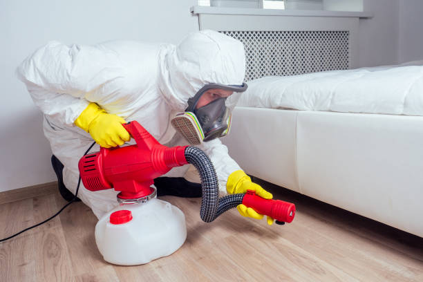 Best Wasp Removal Services  in Lordstown, OH
