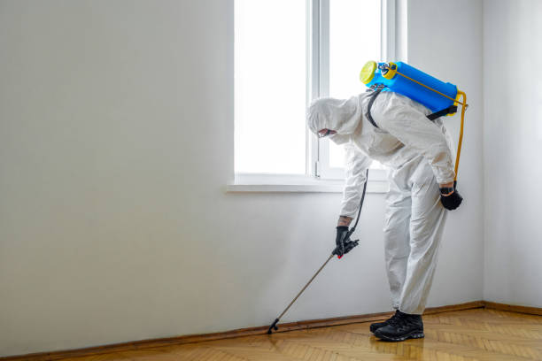 Best Pest Prevention Services  in Lordstown, OH