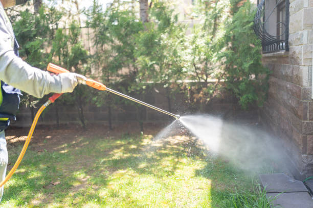 Best Flea Control Services  in Lordstown, OH