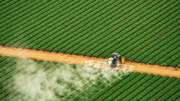 Best Commercial Pest Control Services  in Lordstown, OH