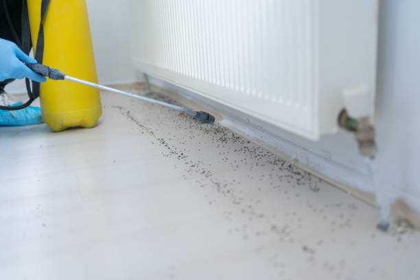 Best Pest Inspection Near Me  in Lordstown, OH