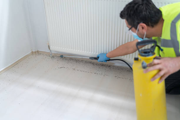  Lordstown, OH Pest Control Pros