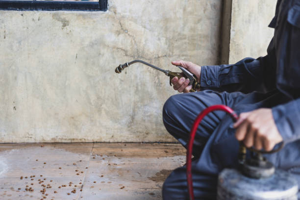 Pest Prevention Services in Lordstown, OH